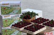 三夫户外高速赋能产业升级：一条“杨梅路”的致富密码